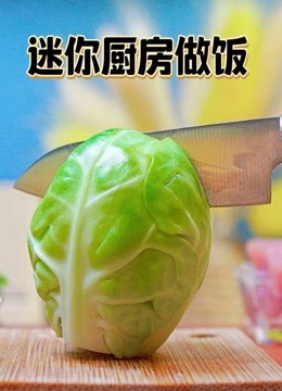 迷你厨房做饭